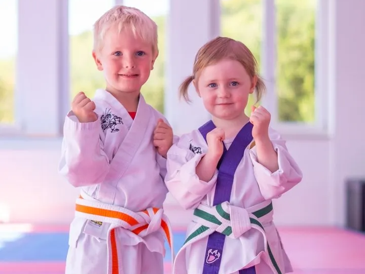 SANKAN Karate Little-Tigers (4 - 5 Jahre alt)
