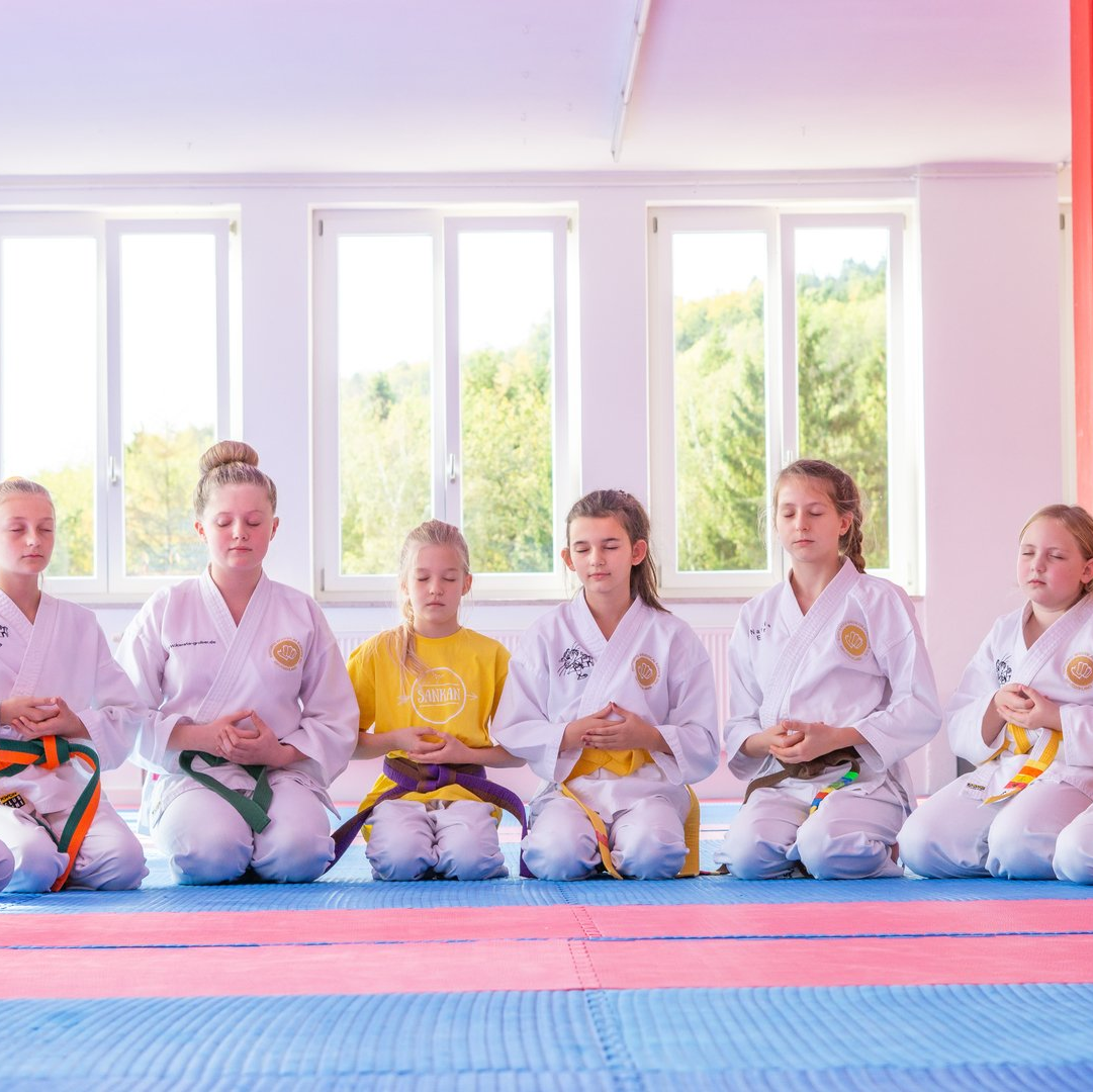 SANKAN Karate Teen-Tigers (10 - 14 Jahre alt)