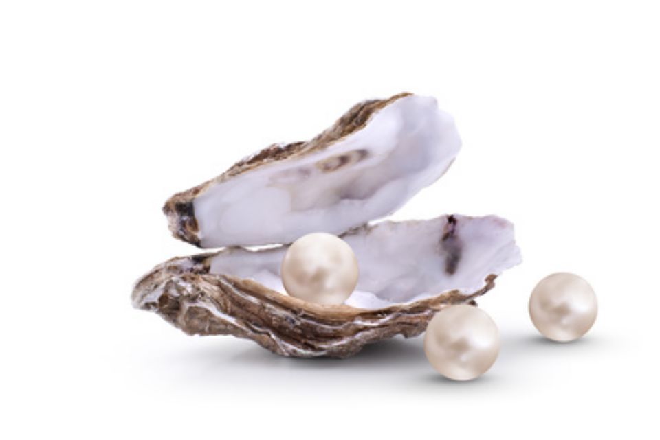 perle