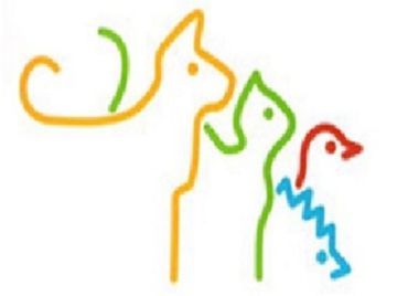 Meine Kooperation mit dem Tierheim Weinheim