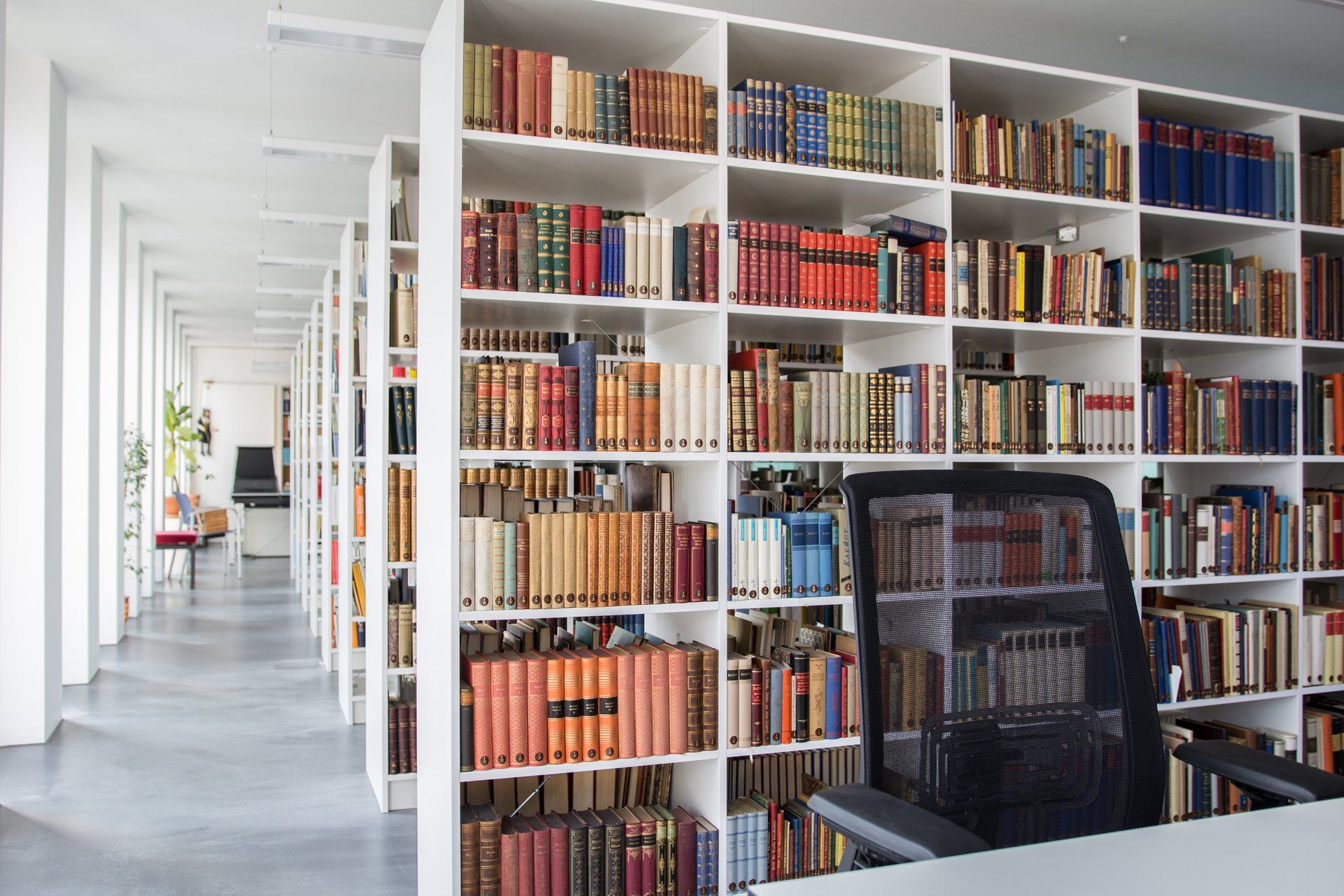 Filmproduktion & Fotografie - www.ronpetrass.de Urheber: Ron Petraß