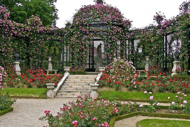 Старый город Ниццы, частный тур по Ницце, заказать экскурсию по Ницце, русский гид в Ницце, нужен гид в Ницце, экскурсия по Променаду Англичан, Достопримечательности Ниццы,