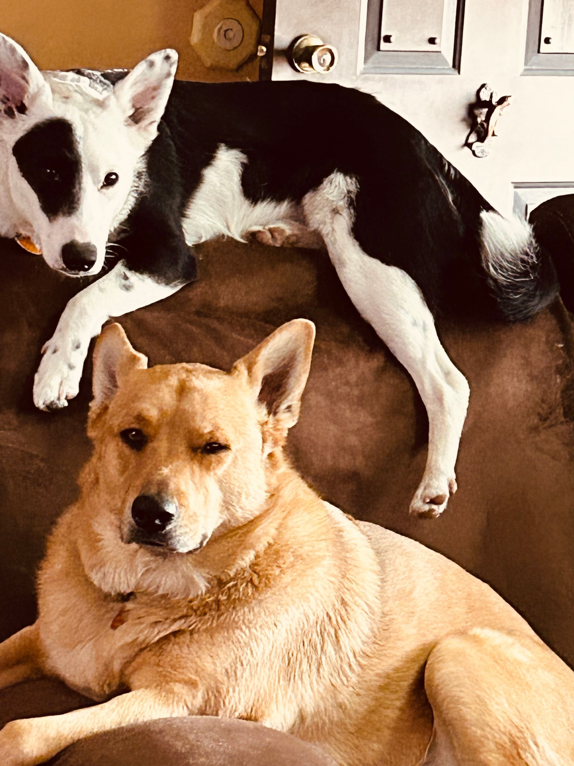 Luna and Girlfriend