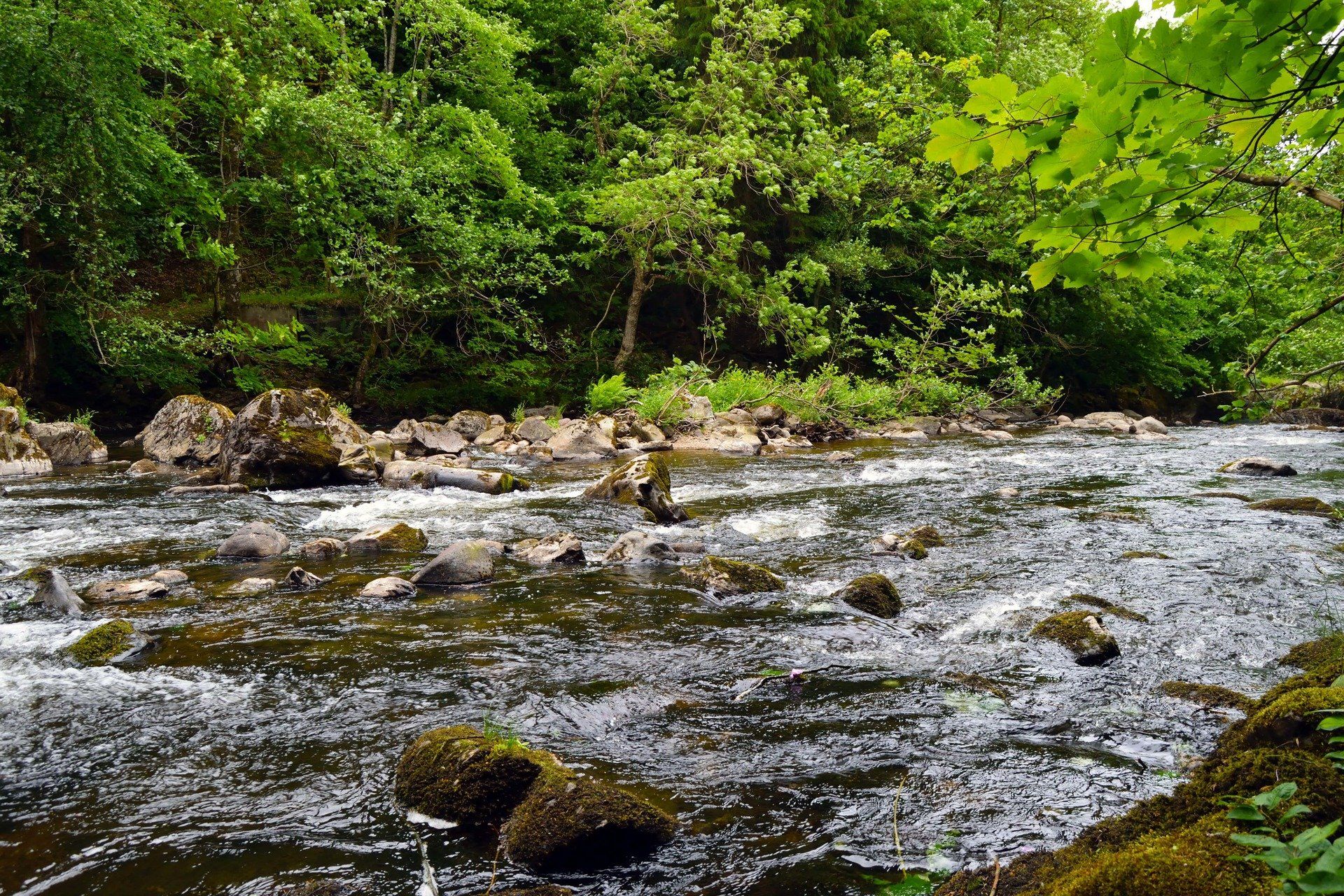 Bridge of Cally Hotel, river walk