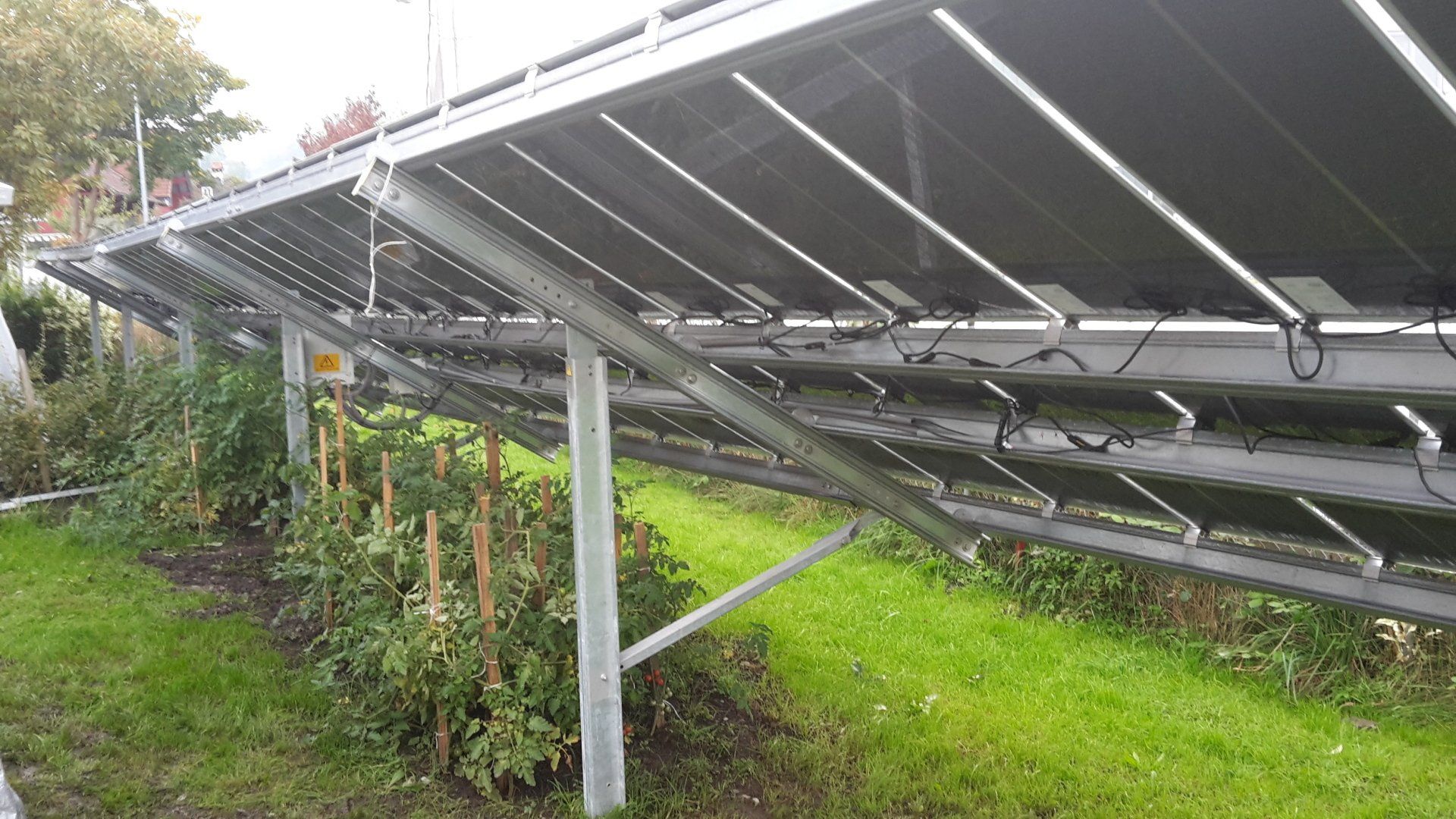 Agrivoltaica, agrovoltaica