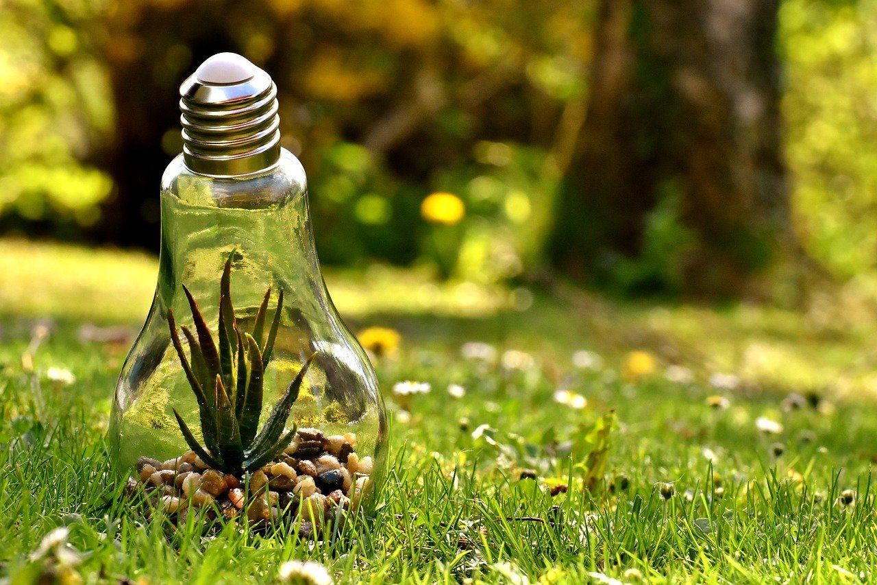 Desarrollo sostenible, medio ambiente, instalaciones eléctricas para autoconsumo