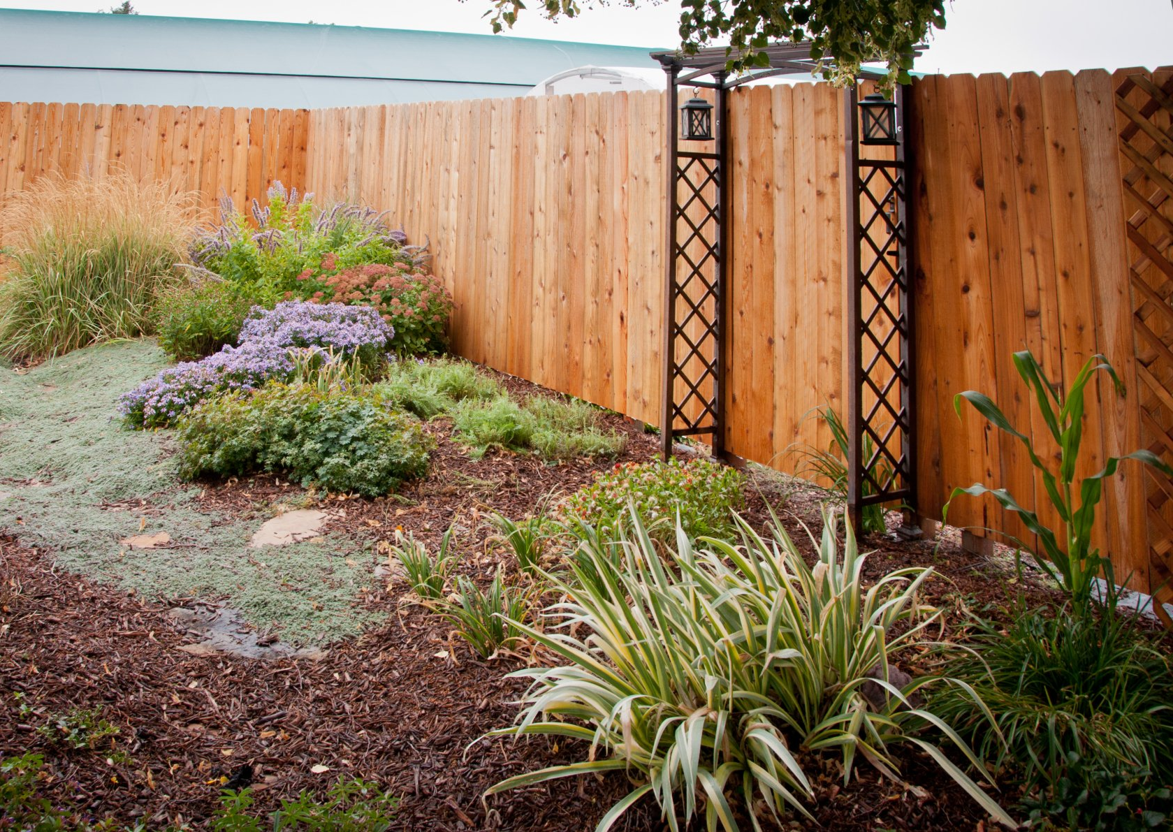 cedar privacy fence Colorado Springs, 6ft cedar privacy fence Colorado Springs, six foot cedar privacy fence Colorado Springs, cedar fence Colorado springs, cedar privacy fence Colorado springs, decorative cedar fence Colorado Springs, decorative wood fence Colorado Springs, beautiful cedar fence Colorado Springs, beautiful wood fence Colorado Springs, cedar privacy fence Colorado springs, cedar fence contractors Colorado springs, residential cedar fence Colorado springs, residential wood fence Colorado Springs, residential cedar fence Colorado springs, cedar yard fence Colorado Springs, wood yard fence Colorado Springs, Colorado craftsman fence Colorado Springs, ,