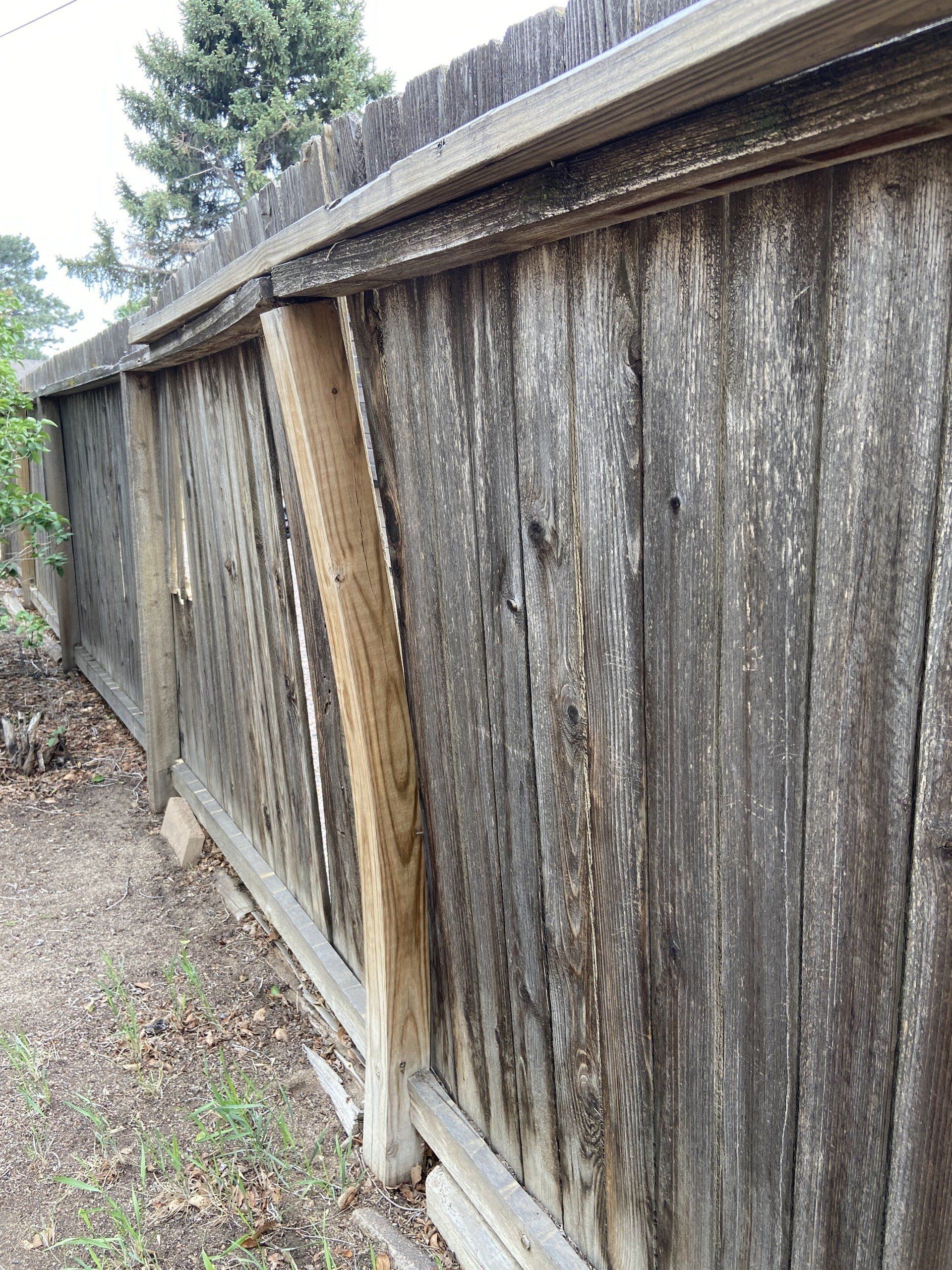 warped pressure treated fence post.