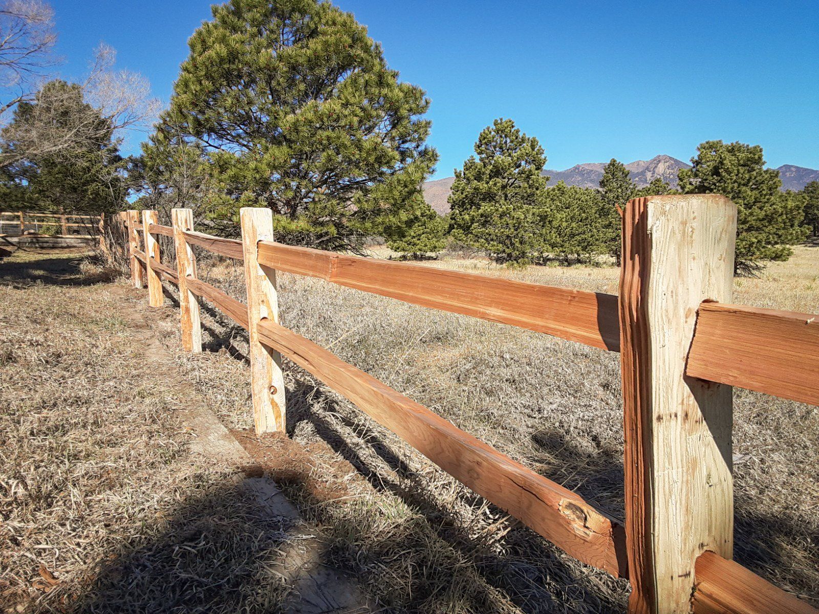 Split-rail cedar fence.