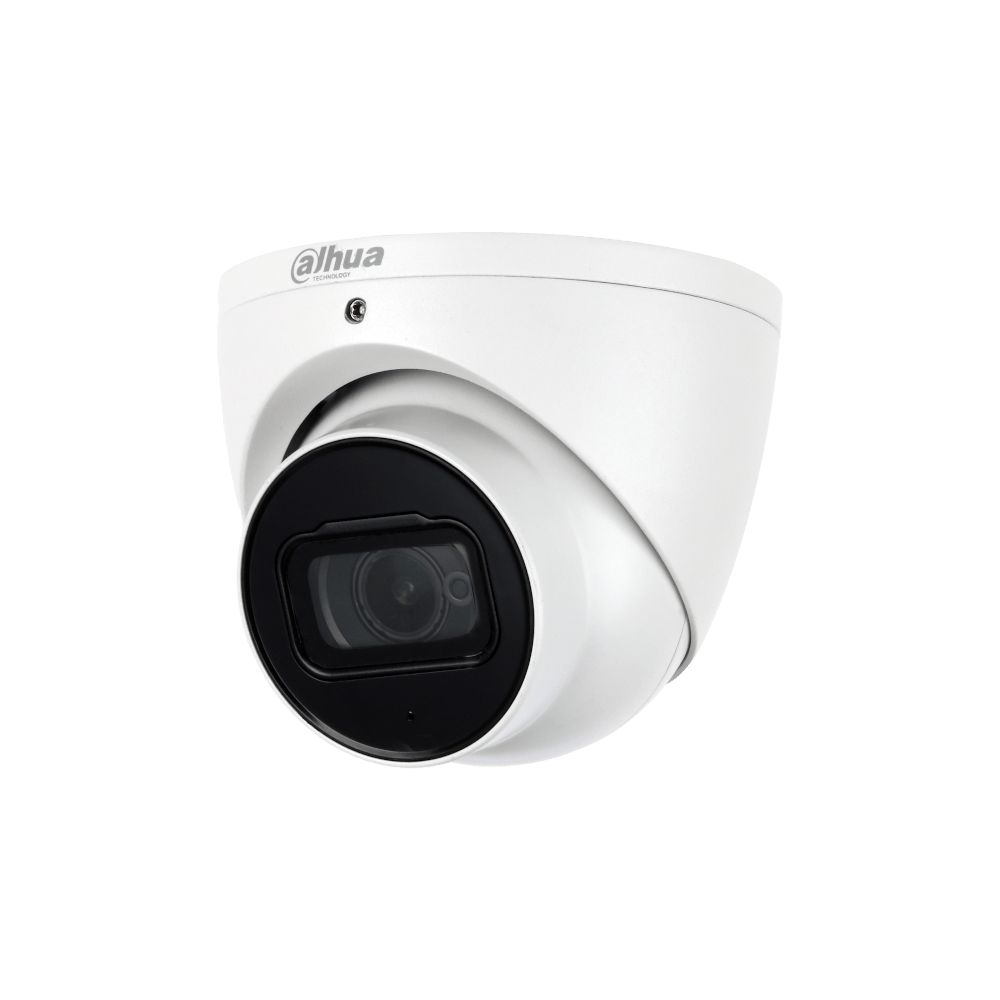 Videoüberwachungskamera Eyeballkamera
