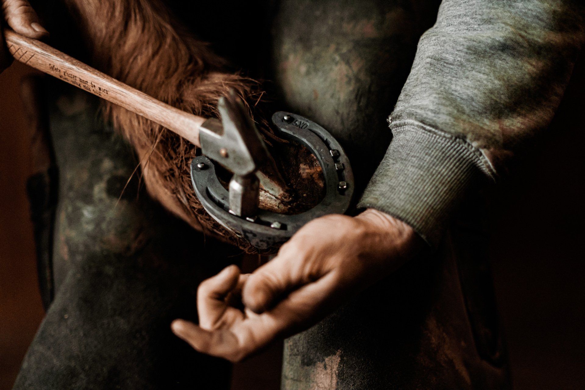 Hufschmied Handwerk Fotografie