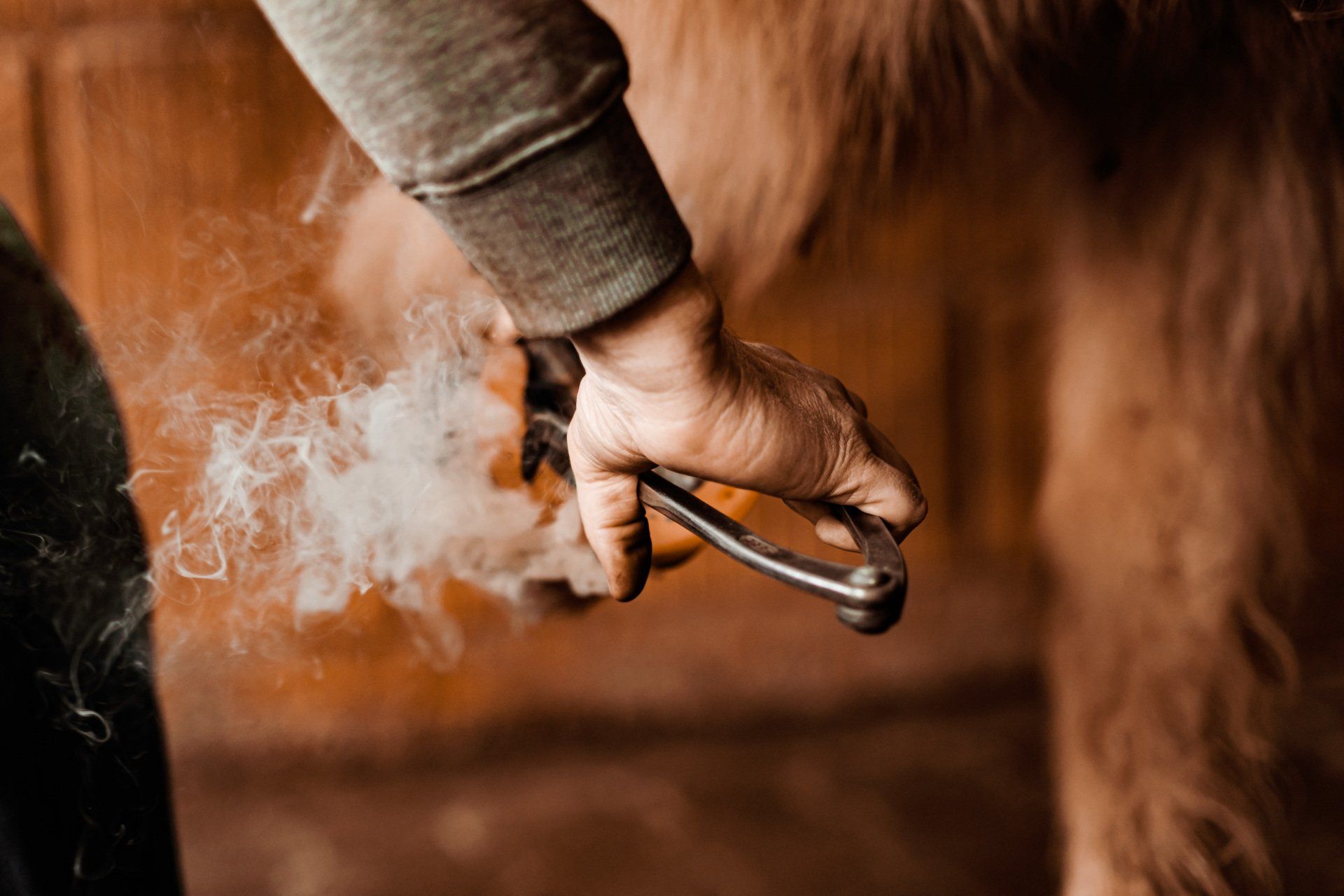 Hufschmied Handwerk Fotografie