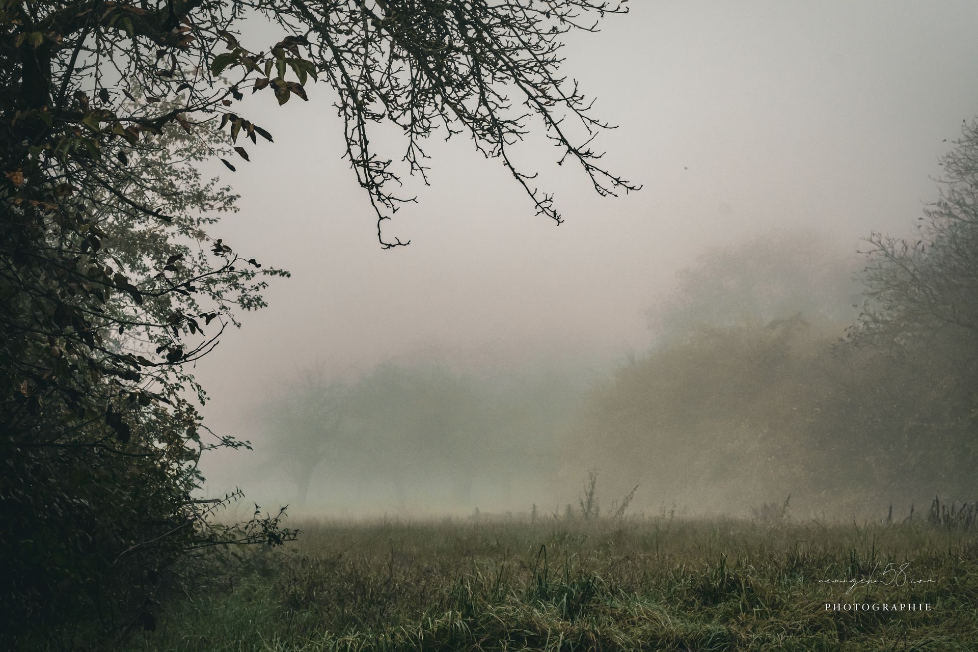 Landschaft im Morgennebel