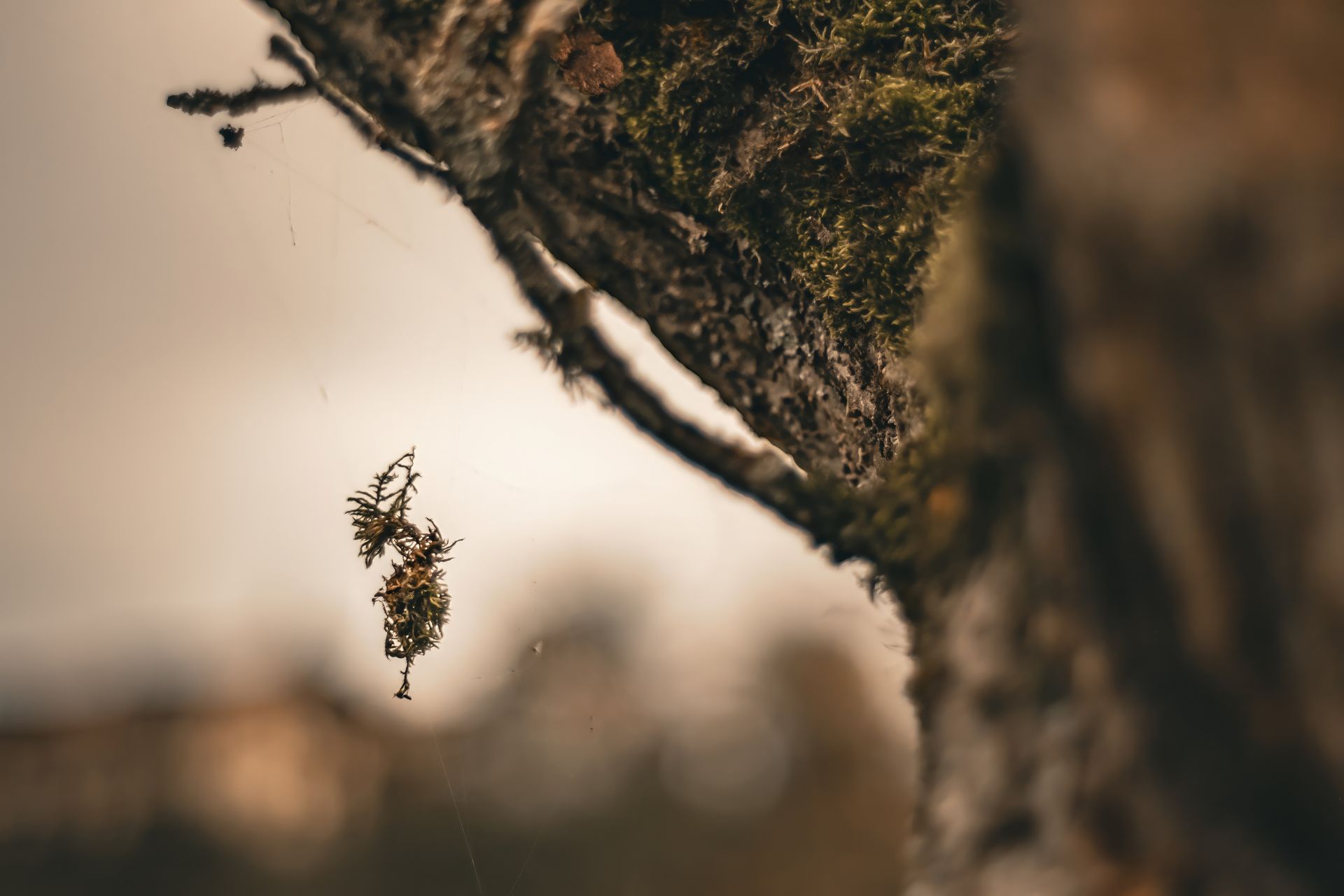 Naturerleben im Herbst