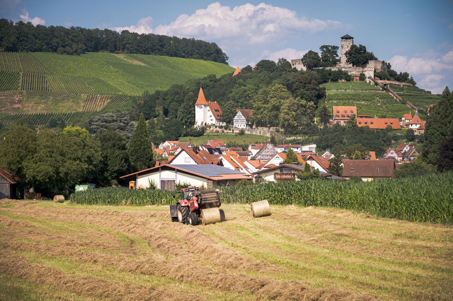 Burg Hohenbeilstein mit Feld in der Erntezeit