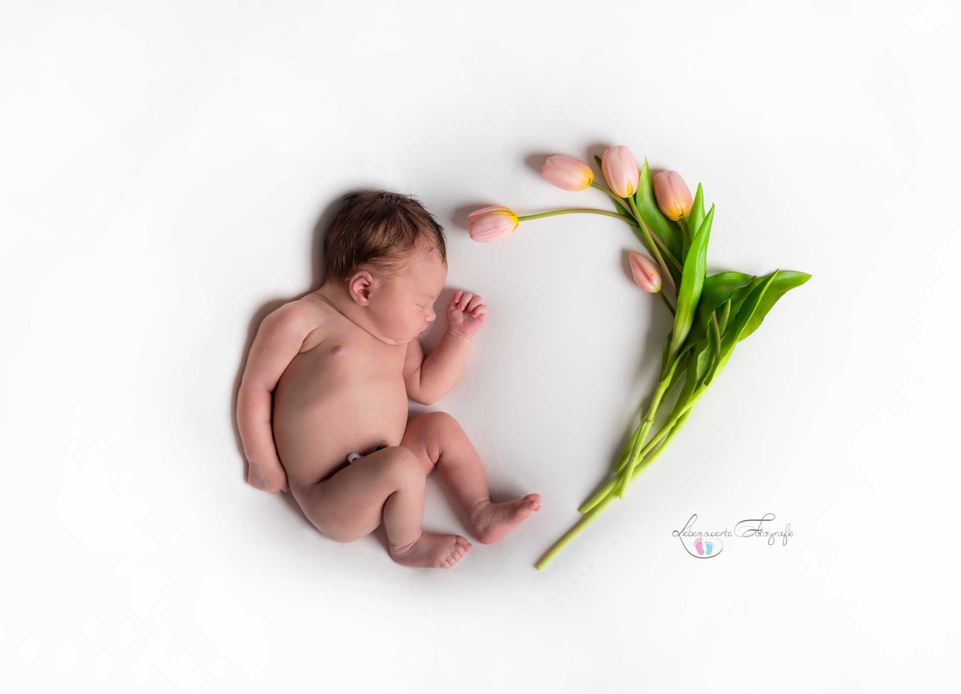 Neugeborenenshooting©liebenswerte-fotografie_189