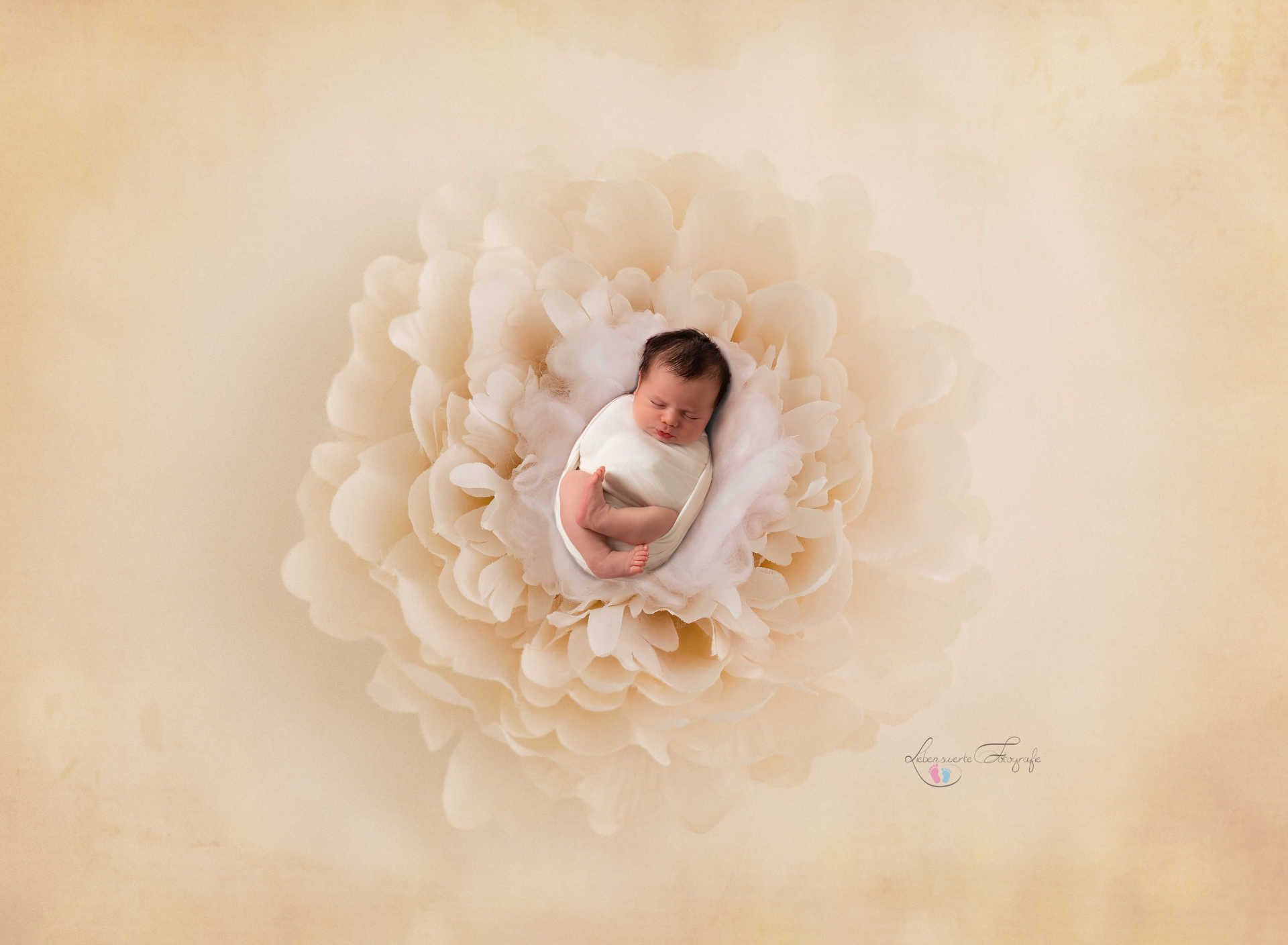 Neugeborenenshooting©liebenswerte-fotografie_232