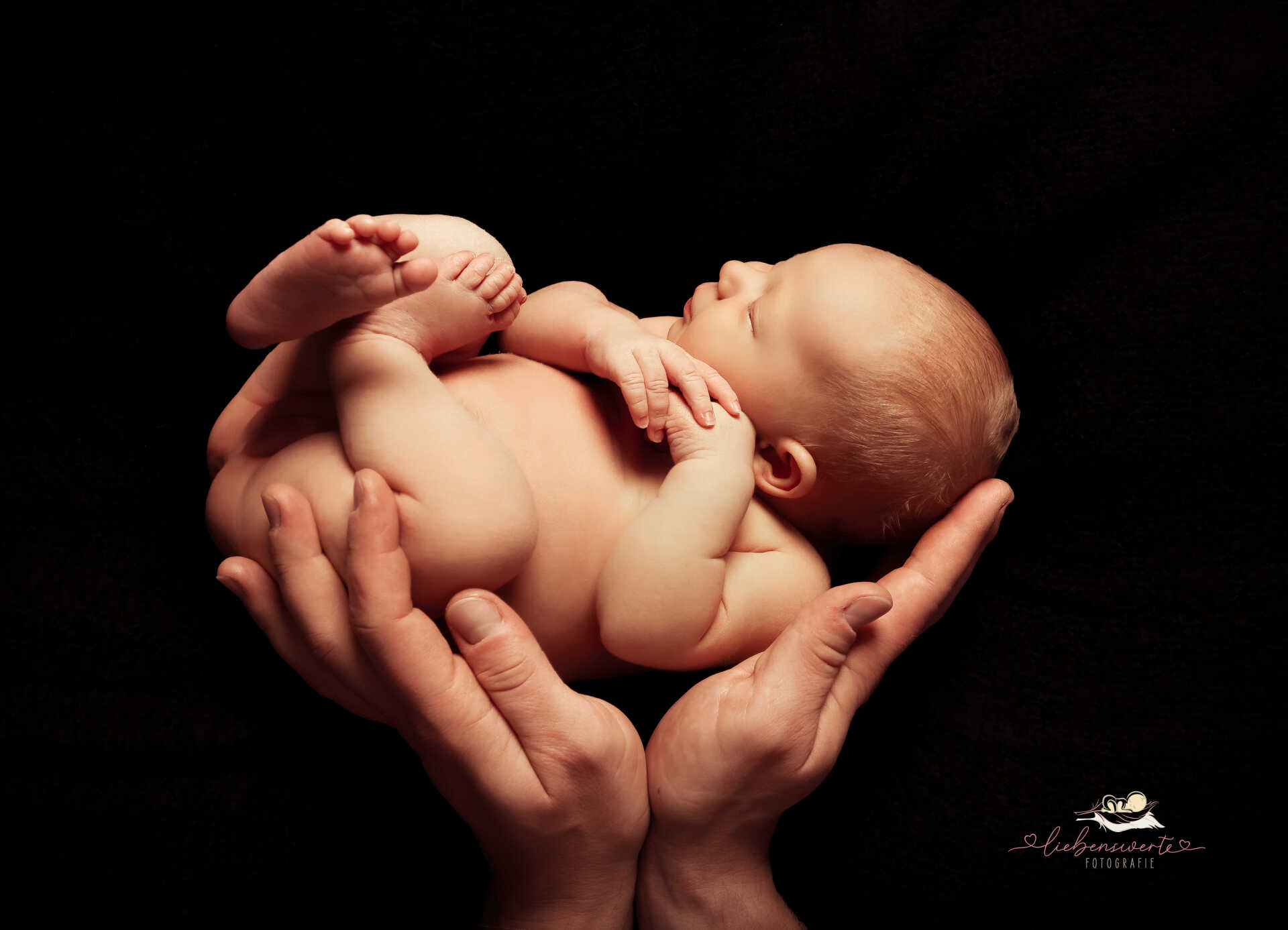 Neugeborenenshooting©liebenswerte-fotografie_300