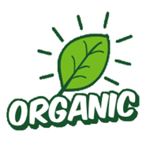 DIY, Knetbeton, Deko aus Knetbeton, Betondeko, Deko aus Beton selbermachen, DIY Anleitung, how to do, Kreativbeton, Betondeko, Evolution, Geschenkideen, kneten, Knetmasse, bunter Beton, farbiger Beton, plastikfrei, ohne Plastik, biologisch abbaubar, kompostierbar, ölfrei, PLA