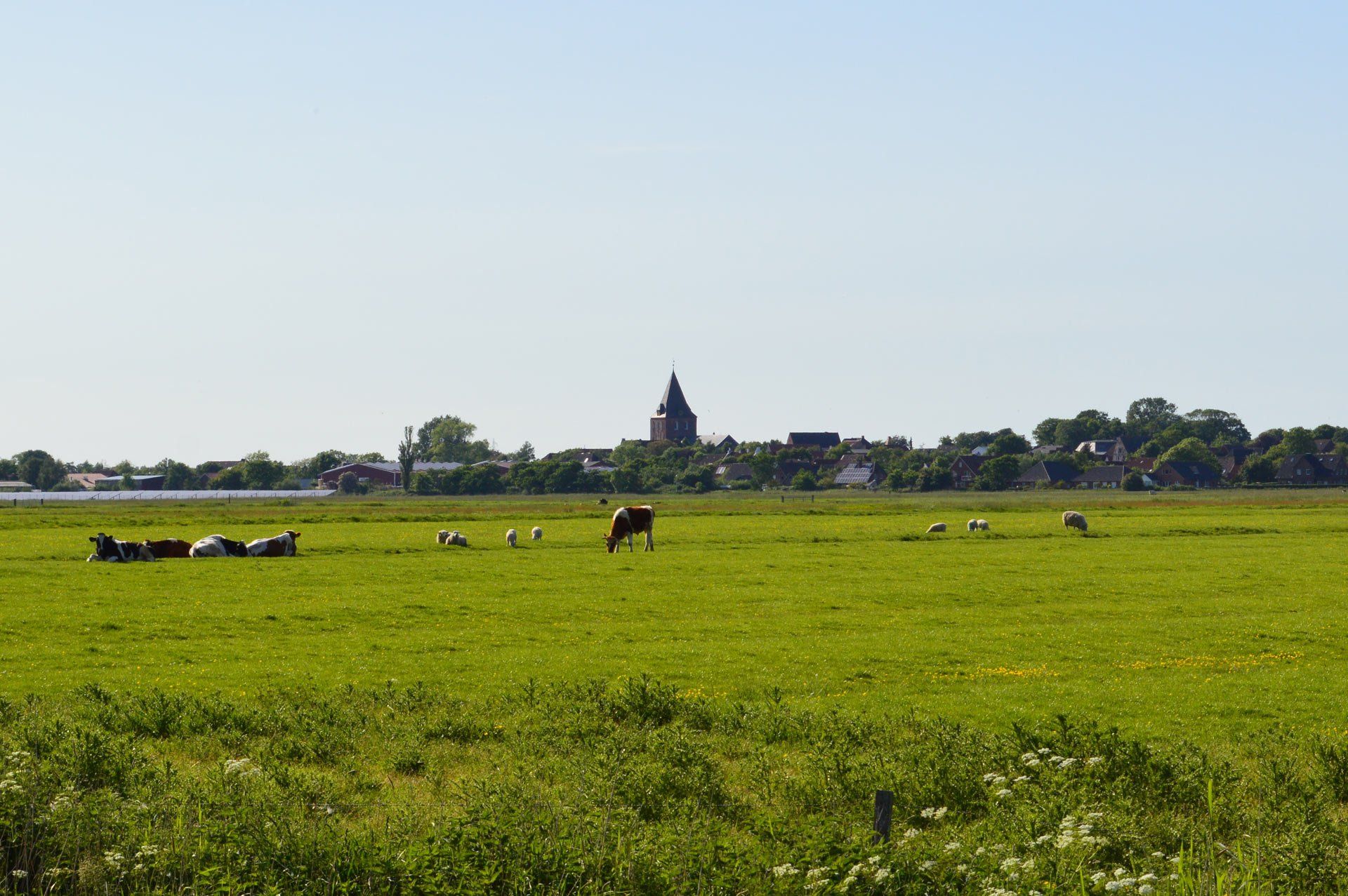 Garding bei SPO auf Eiderstedt
