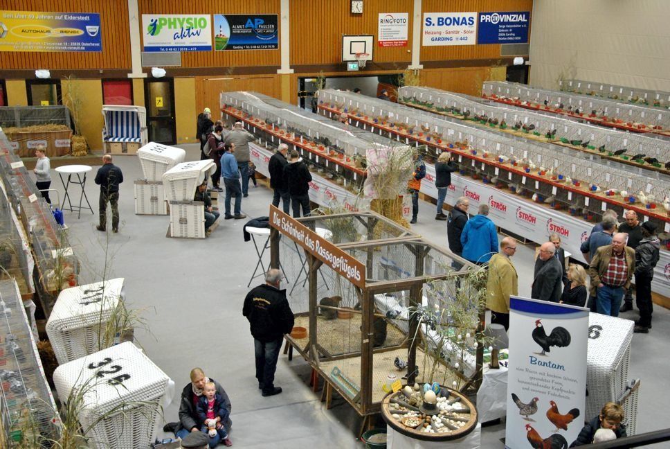 Reiten in Garding bei St. Peter-Ording auf Eiderstedt