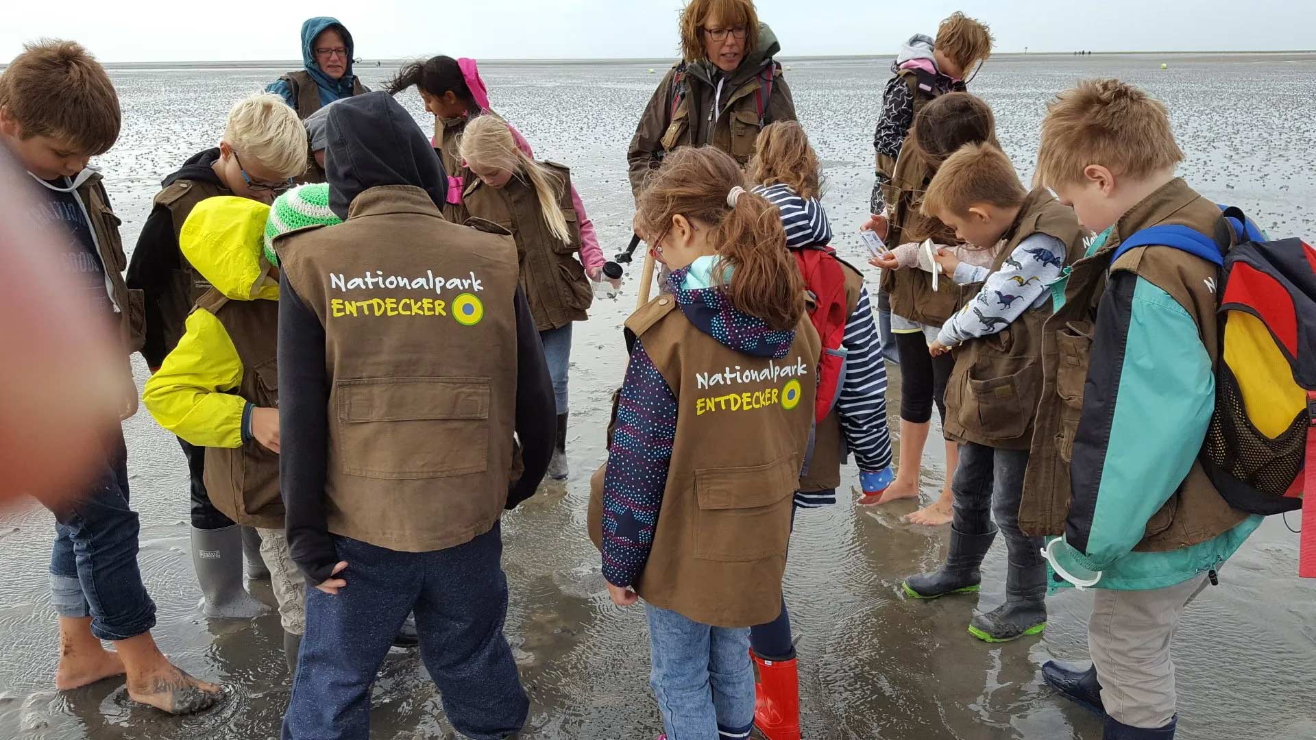 Gardinger Schule. Das Bild zeigt einen Ausflug in den Nationalpark Wattenmeer.