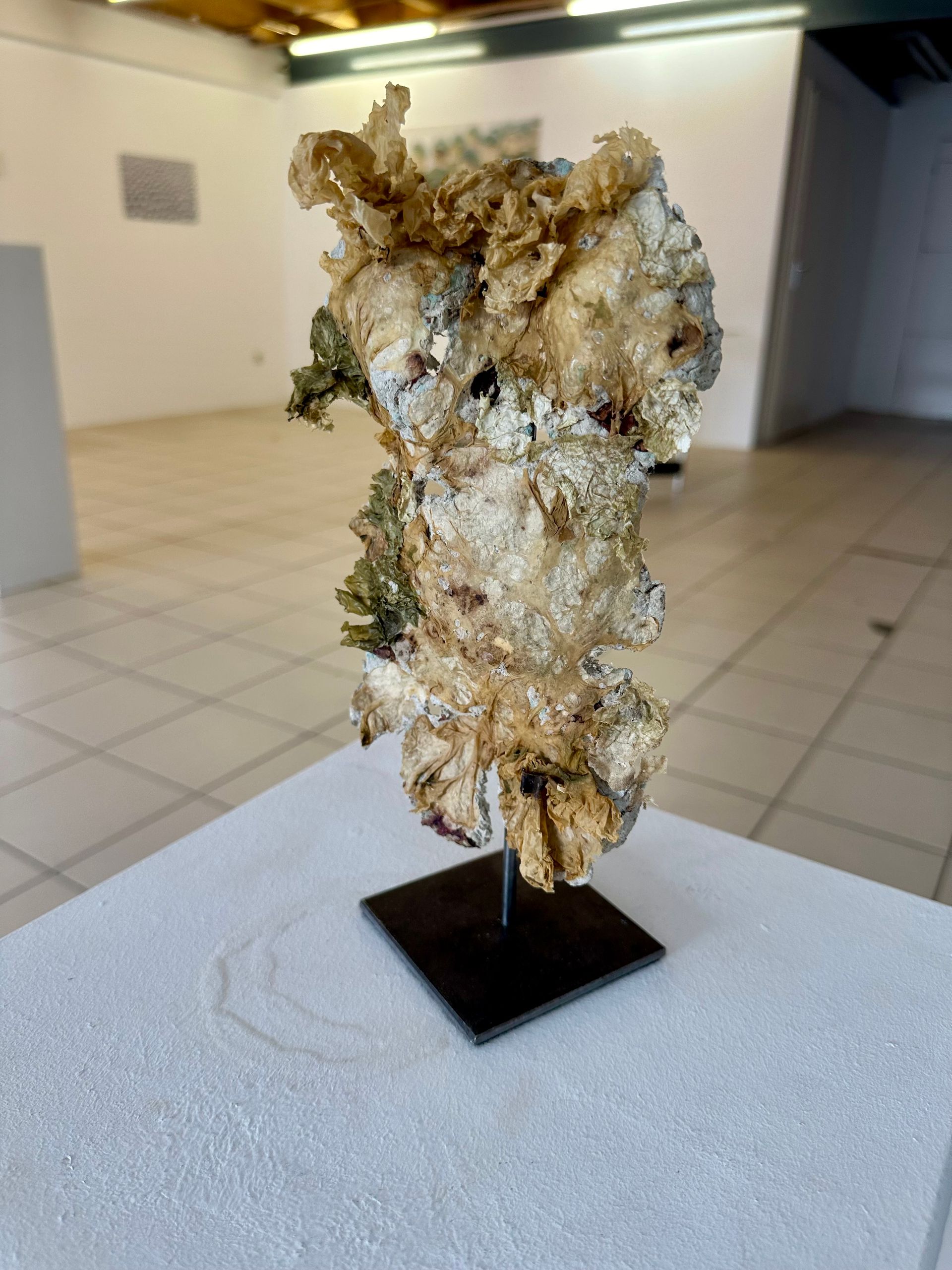 GEDOK Freiburg, Ausstellung Blinder Fleck 2024