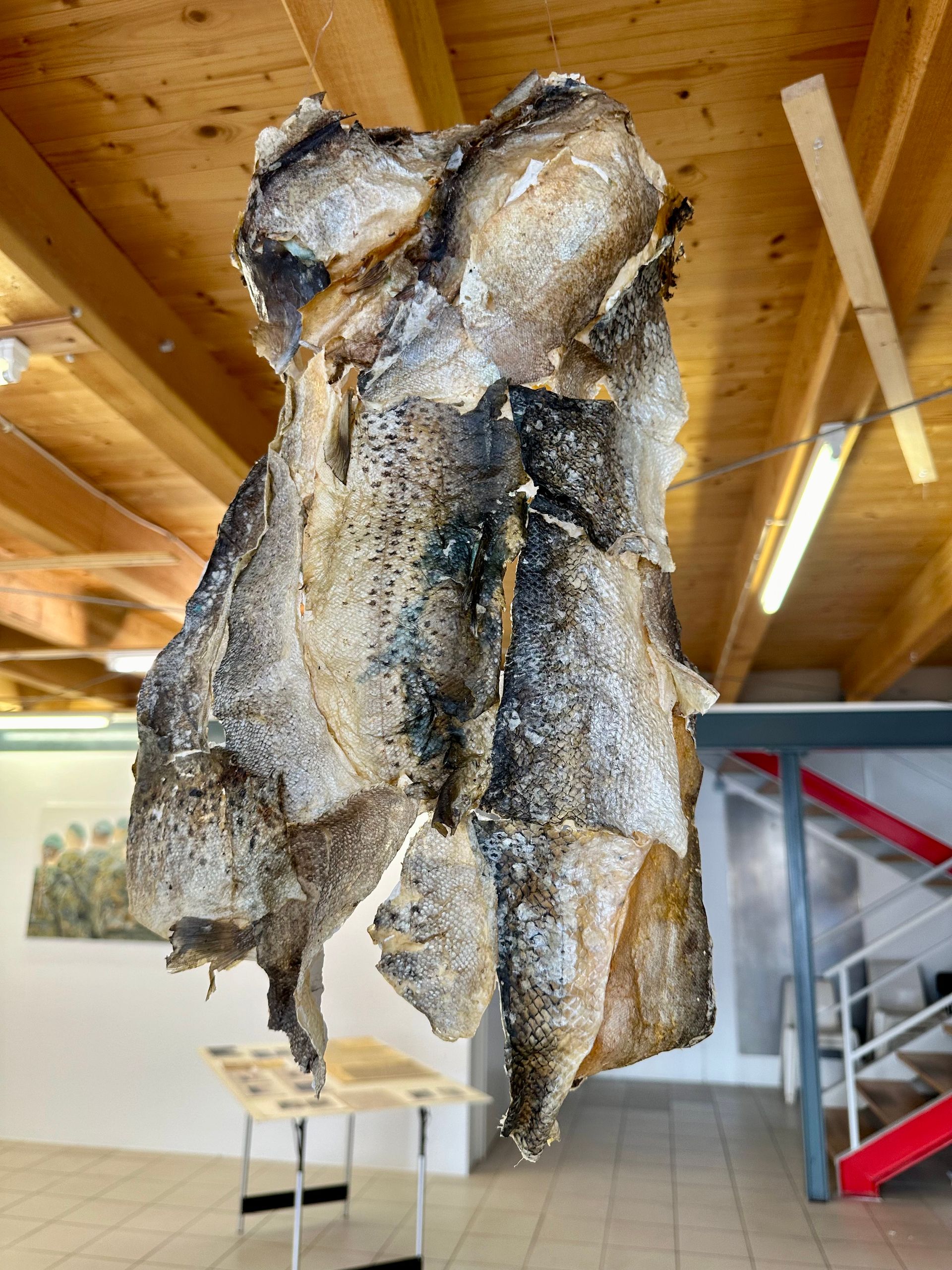 GEDOK Freiburg, Ausstellung Blinder Fleck 2024