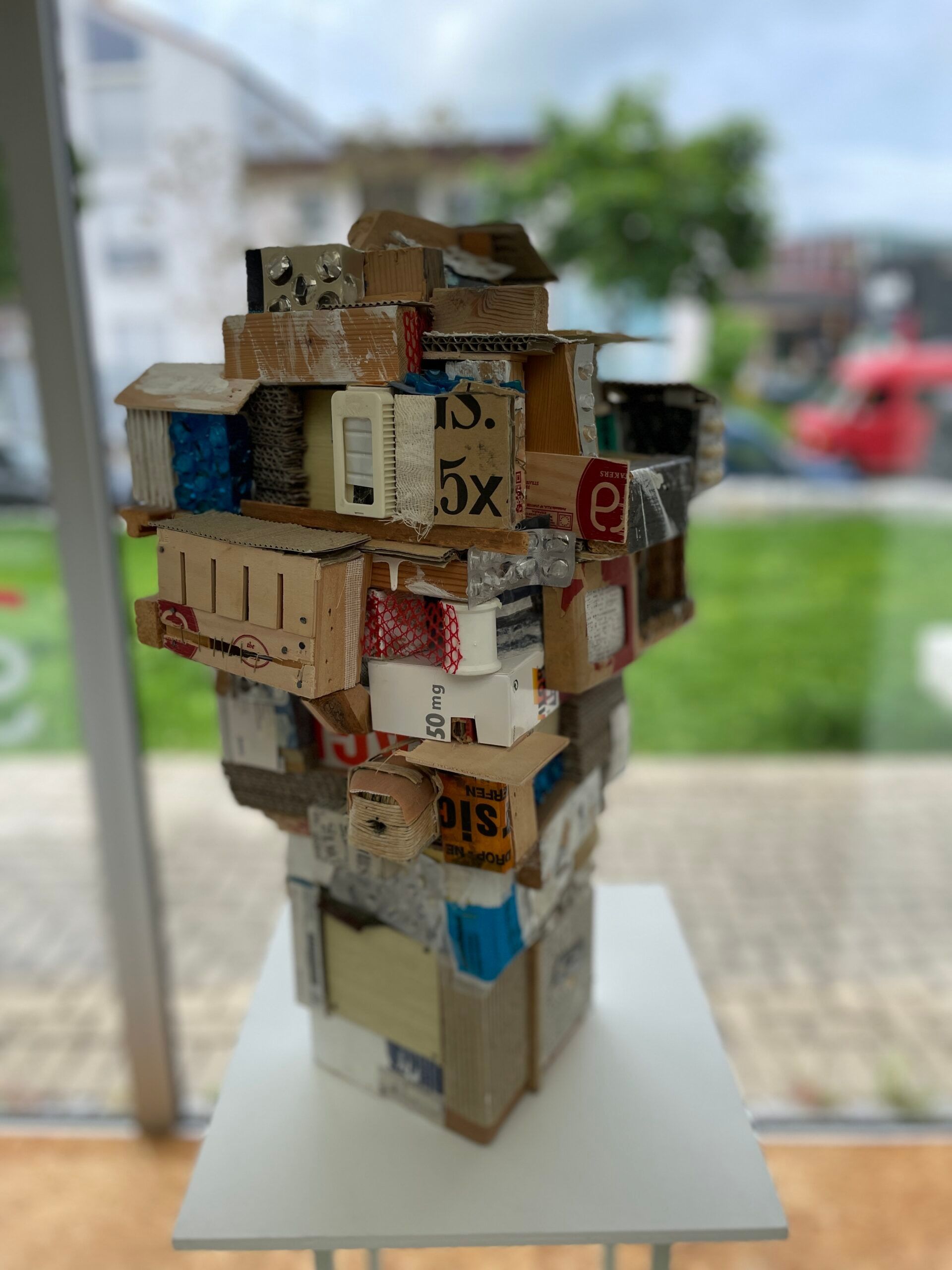 Carola Faller-Barris - Madhouse