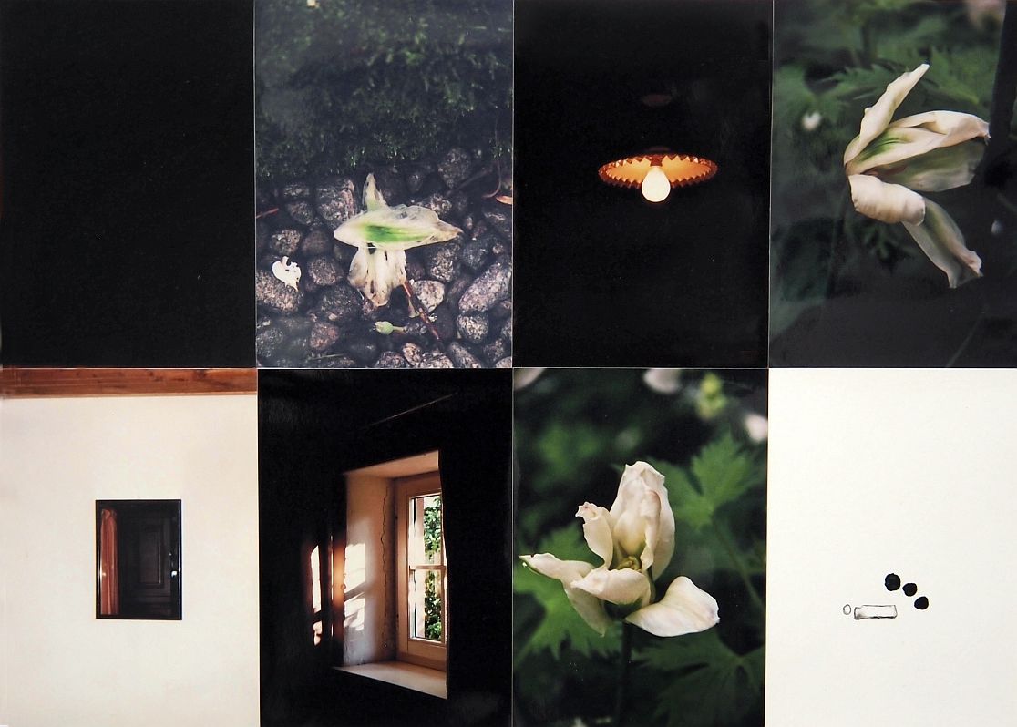 Sandra Eades, vanitas in white Garden