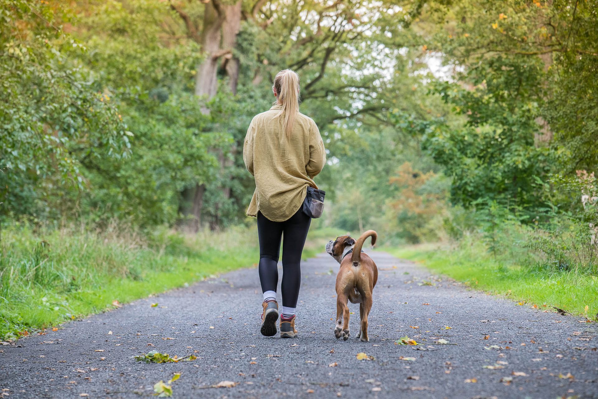 Fotogebell Hundefotografie Hund Carsten Pöhler