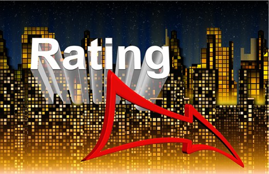 Treasury-Management - Rating