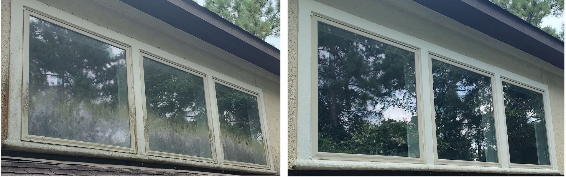 A before-and-after sequence of three residential windows, showing heavy green algae buildup on the frames and glass transformed to crystal clear after an exterior detailing service