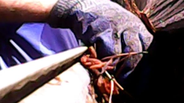 hand cleaning gutters