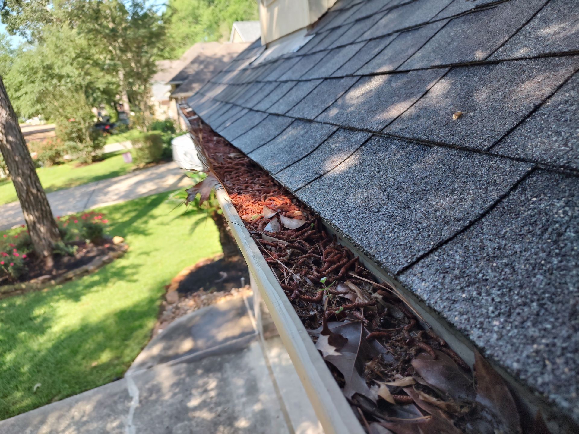 Gutter Cleaning Services Near Magnolia TX