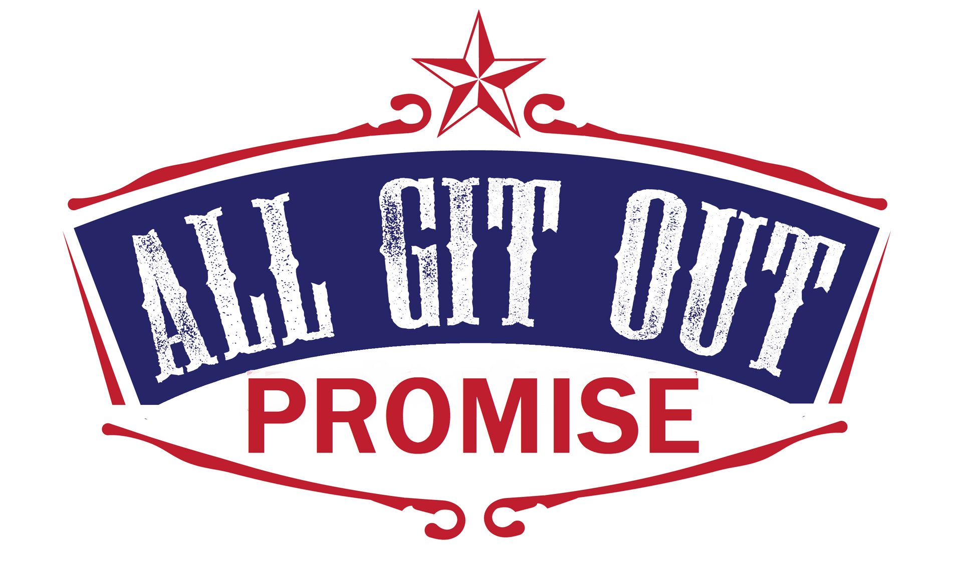 Window Cleaning Promise