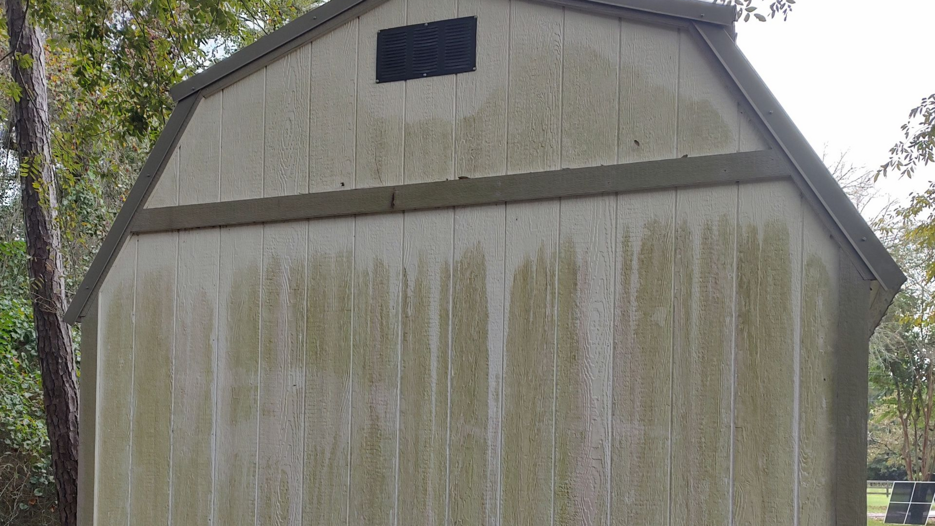 algae covered shed before soft washing