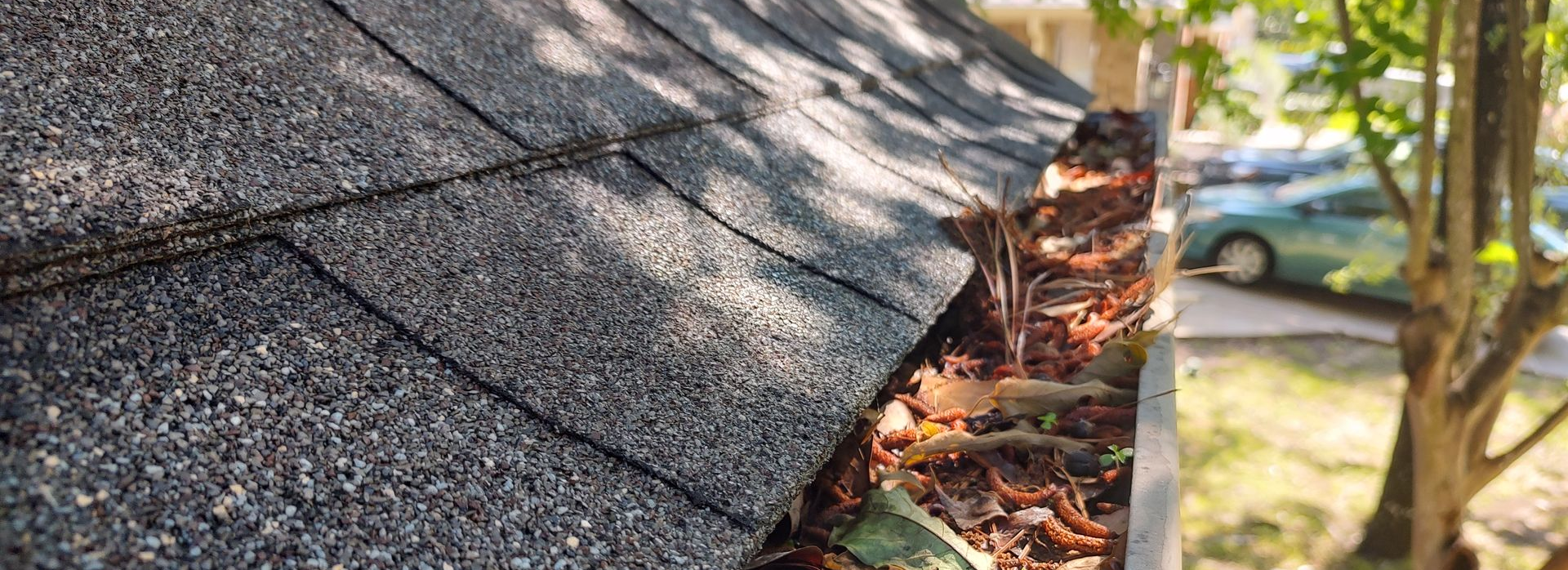 picture of a gutter line full of pine needles and leaves ready for gutter cleaning in Magnolia Texas