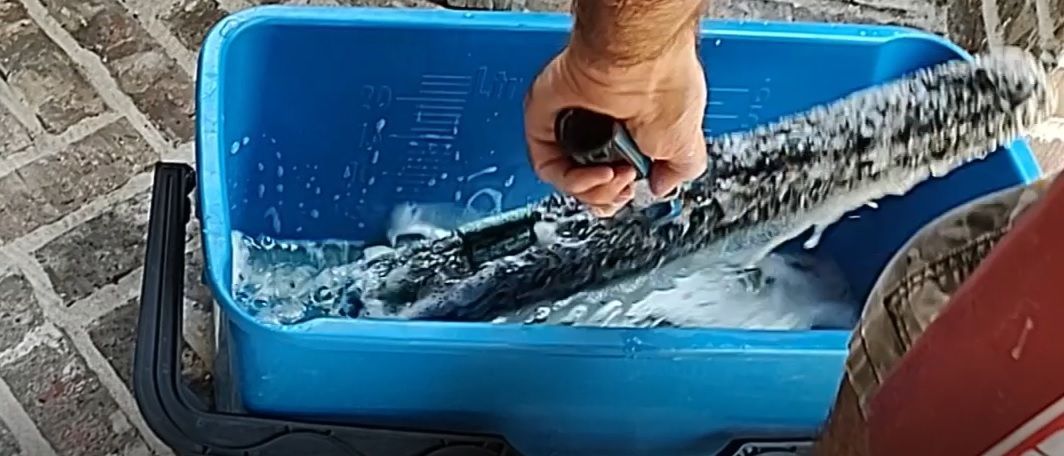 window cleaning with professional window cleaning solution works better then DIY or the blue stuff