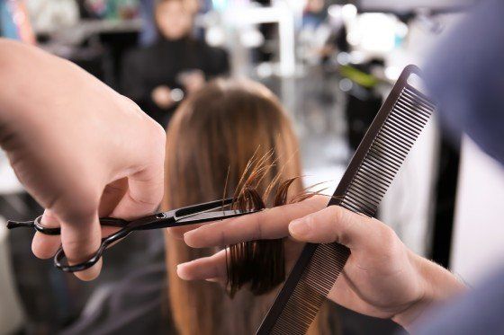 Lisa Salon Concepts