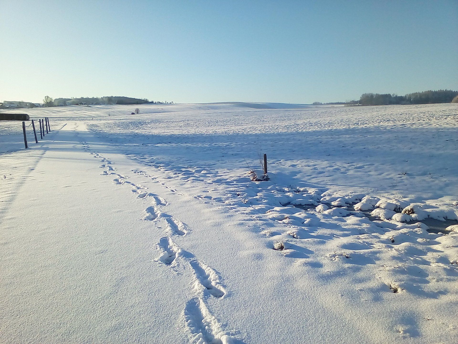 Weisenbach Immobilien Haus Mickhausen