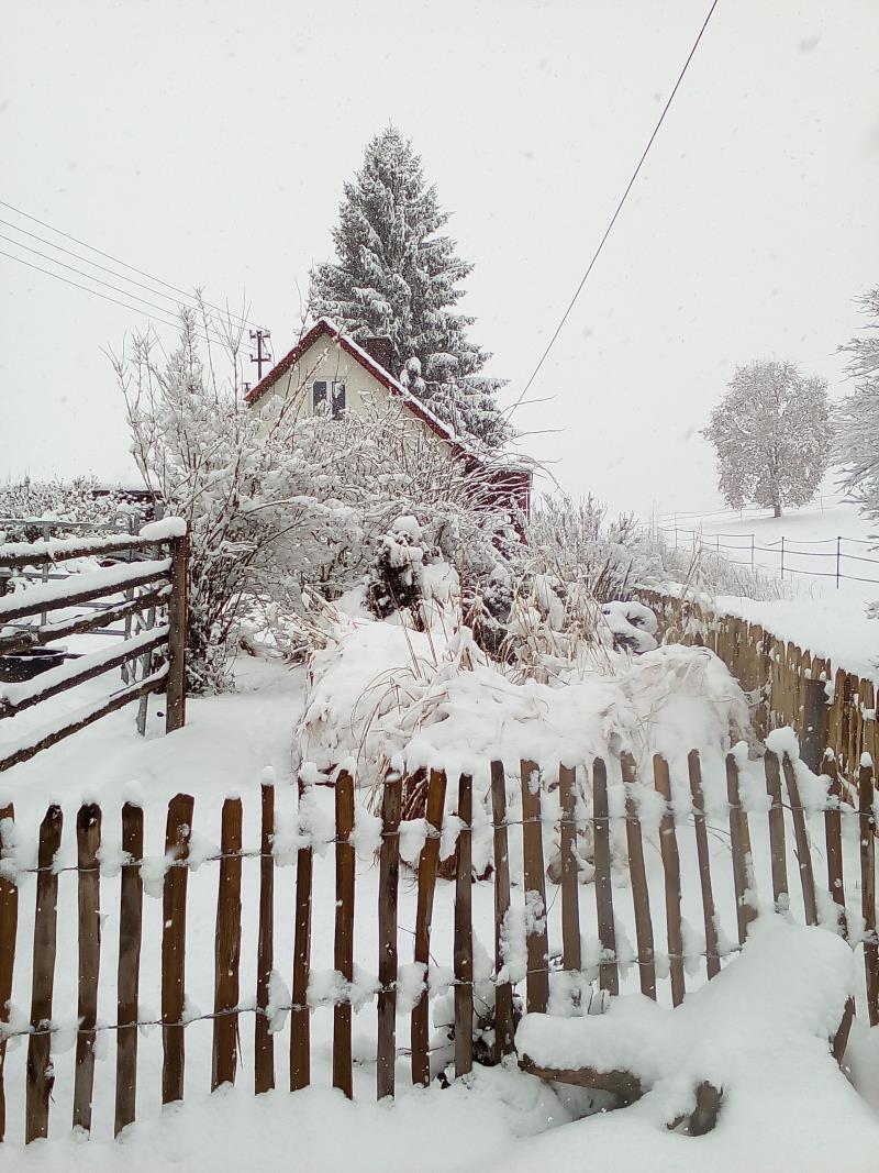 Weisenbach Immobilien Haus Mickhausen