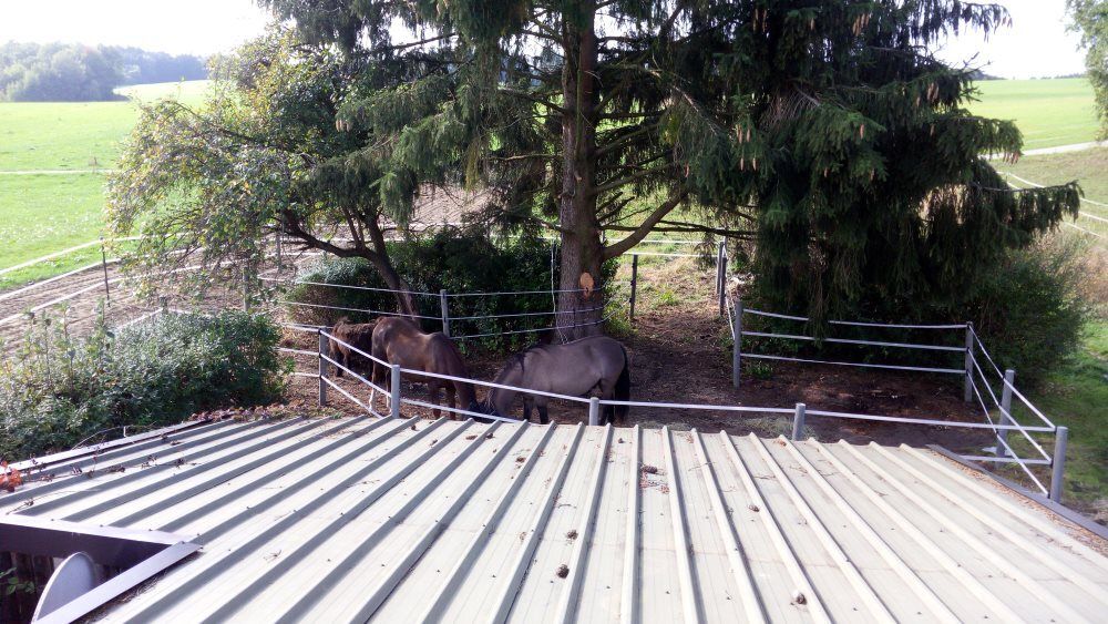 Weisenbach Immobilien Haus Mickhausen