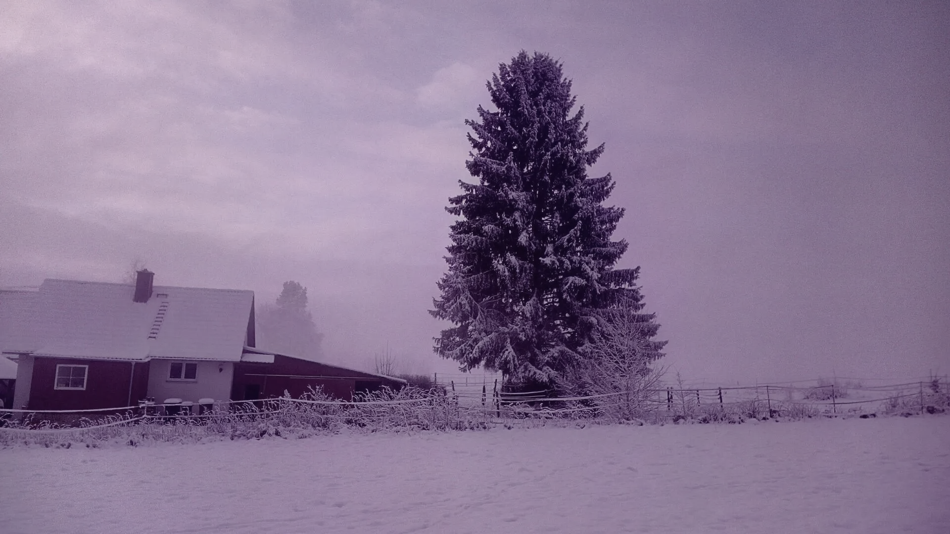 Weisenbach Immobilien Haus Mickhausen
