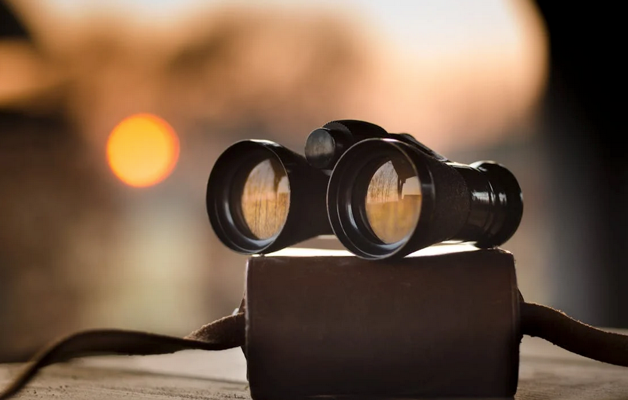 Weisenbach Immobilien Immobiliensuche