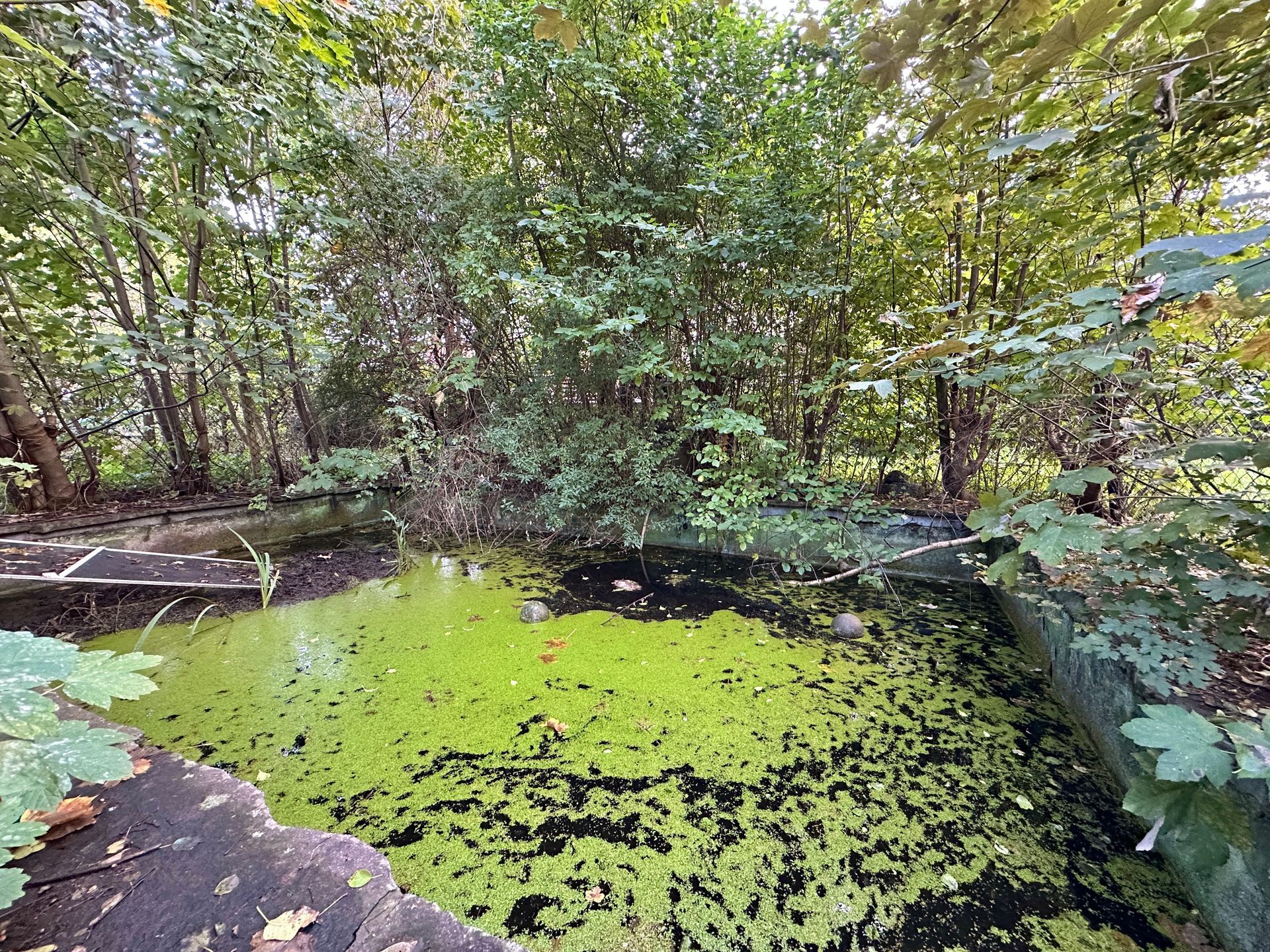 Einfamilienhaus in Bad Wörishofen zu verkaufen