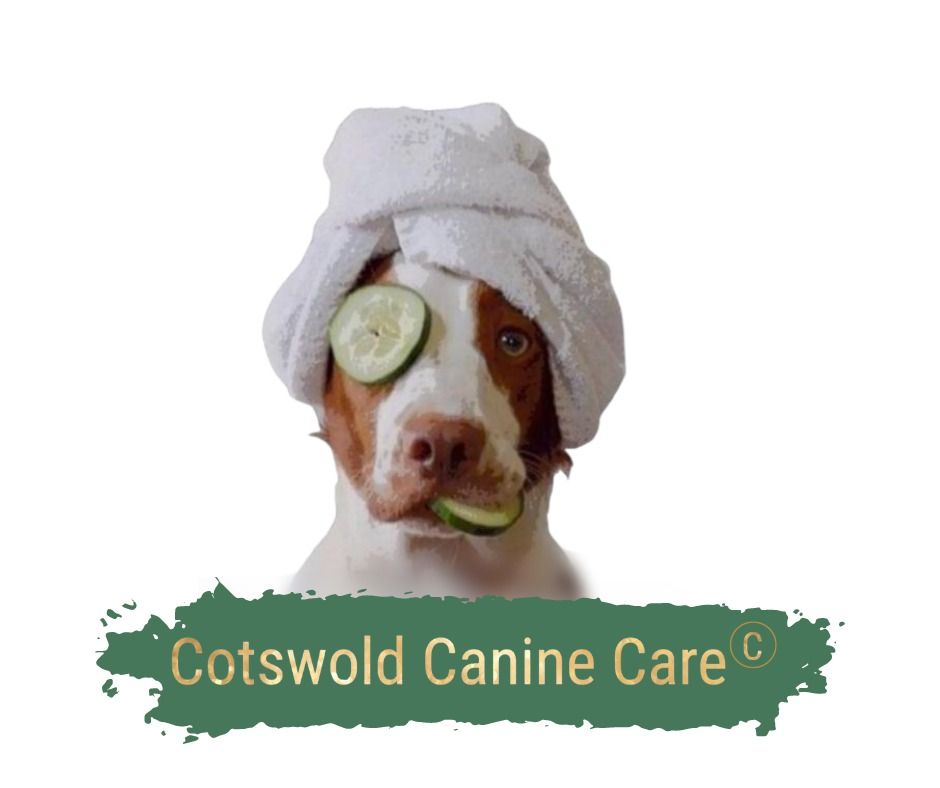 Cotswold Canine Care