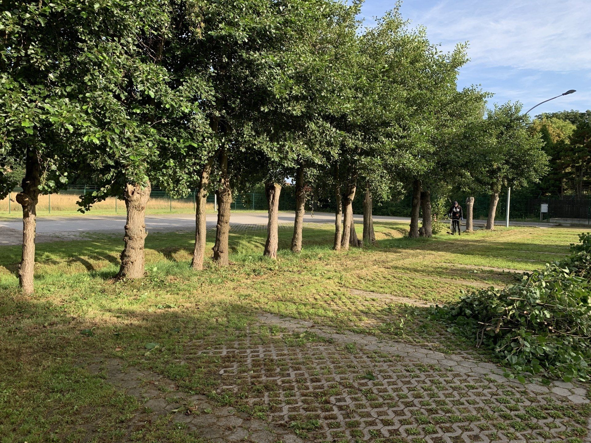 Grünanlagenpflege in Winsen Luhe