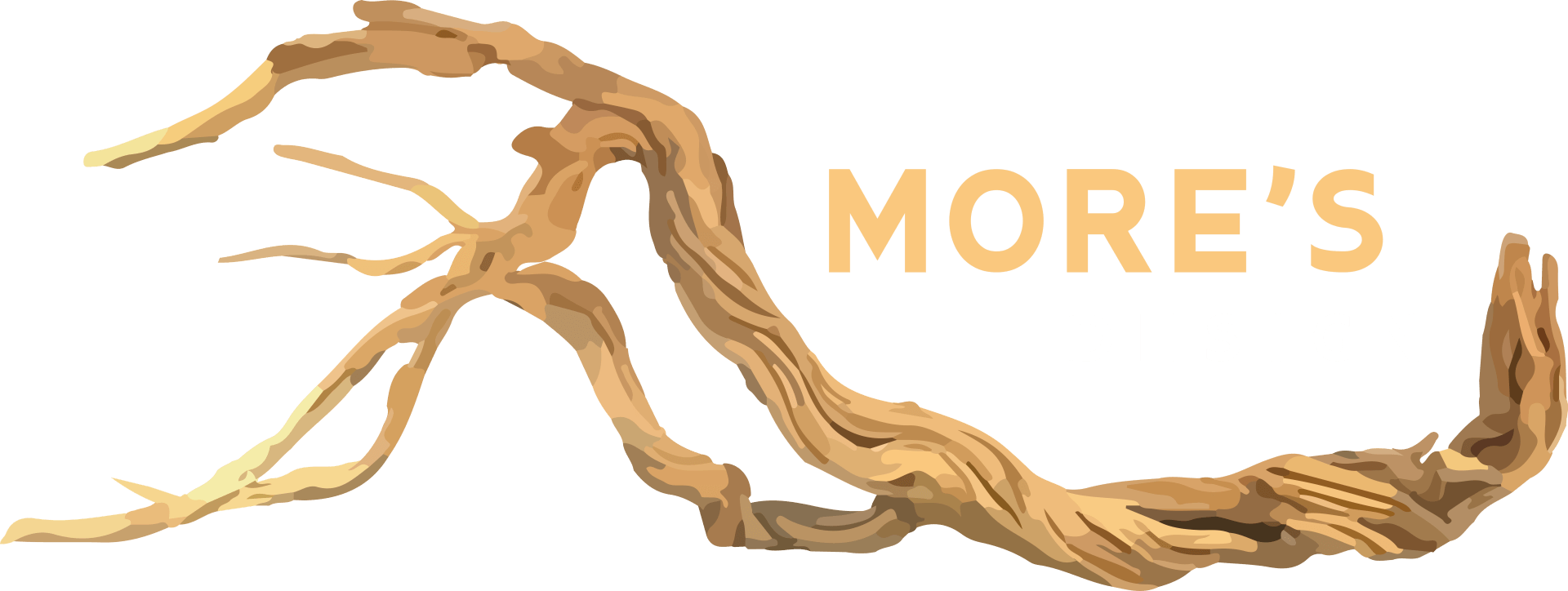 More's Design Inicio