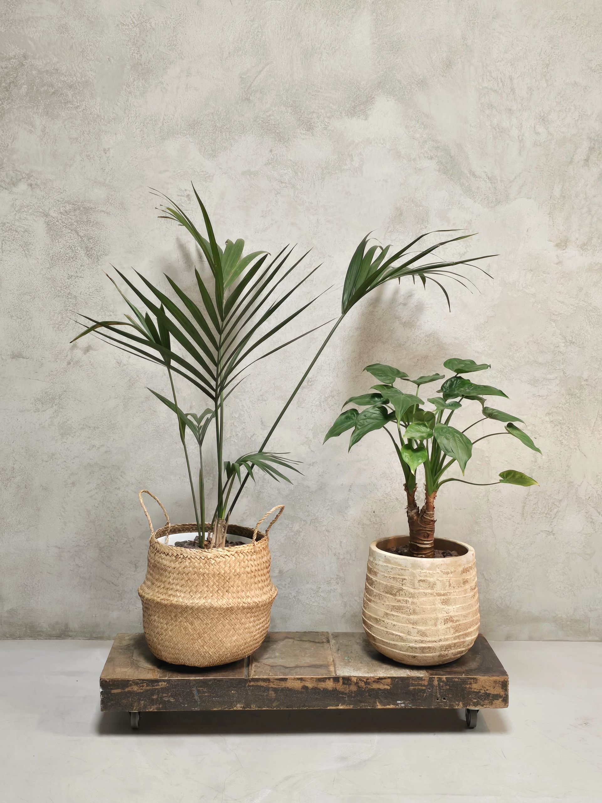 mobiliario de alquiler barcelona